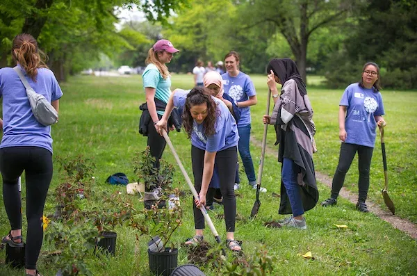 学生们在植树节植树